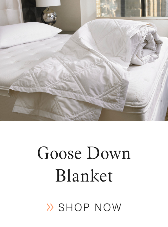 Sheraton Goose Down Blanket